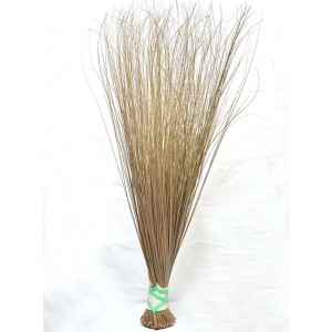 Local Broom - Big Local Broom - Big