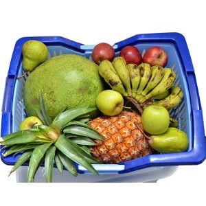 Fruit Basket - small Fruit Basket - small