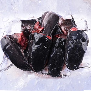 Catfish Fresh whole - cut -Pack of 3 (Medium Size) Catfish Fresh whole - cut -Pack of 3 (Medium Size)